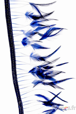 Franje haan - lengte veren 8-10 cm - donkerblauw